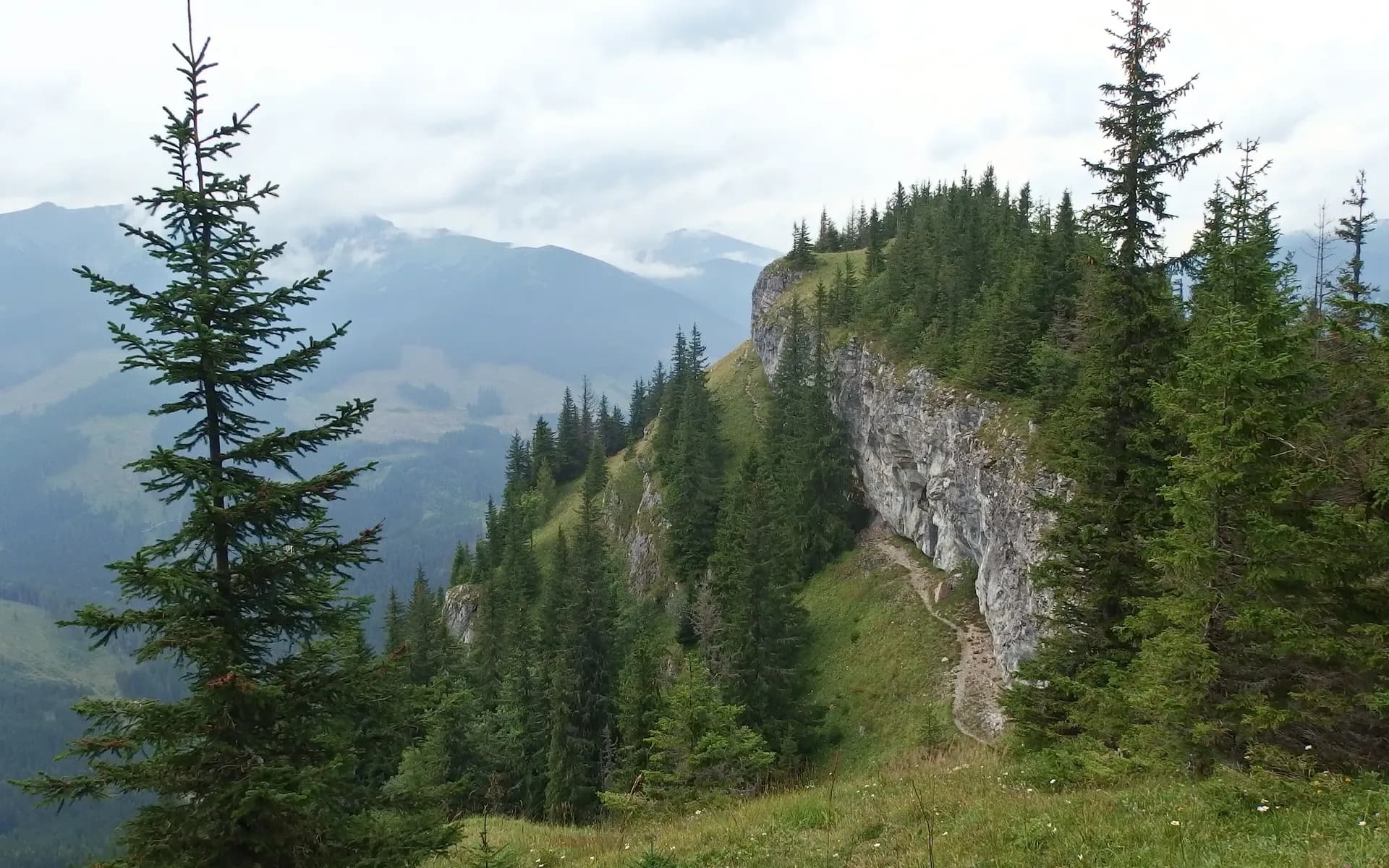 Nízke Tatry — Bergkamm mit Wäldern, Slowakei