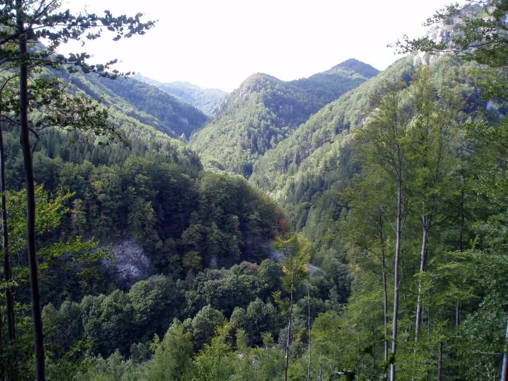 uploads 2020 07 Harmanecka Dolina