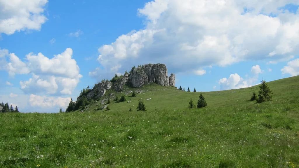 uploads 2020 07 Kralova Studna